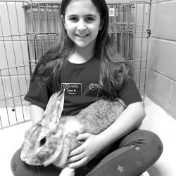 Fundraising Page Image