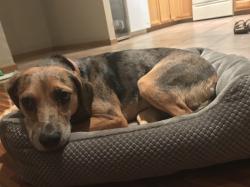 Fundraising Page Image