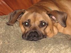 Fundraising Page Image