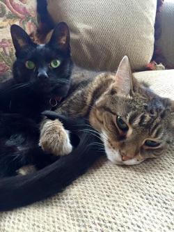 Fundraising Page Image